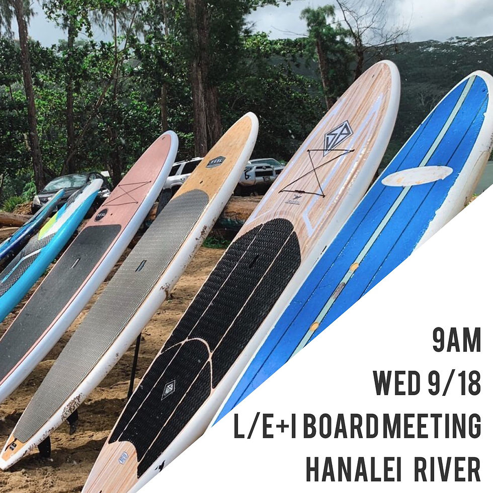 LEI Board Meeting