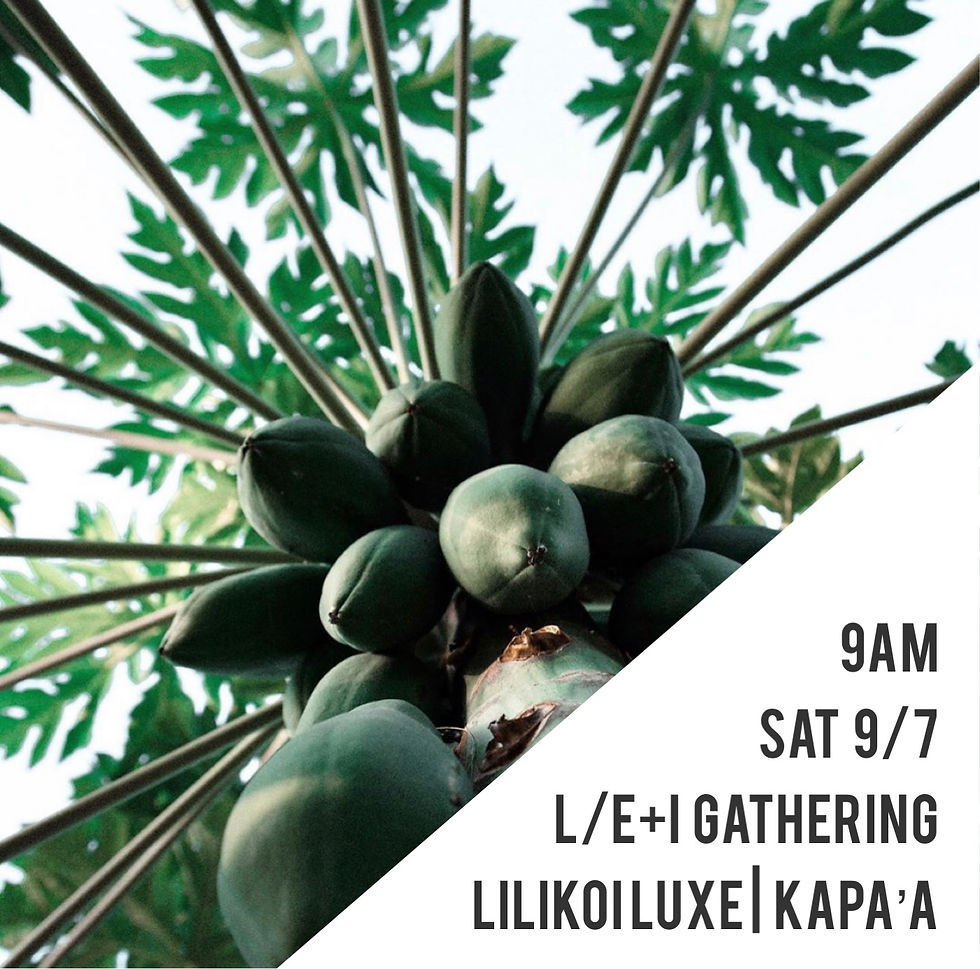 L/E+I Eastside Gathering