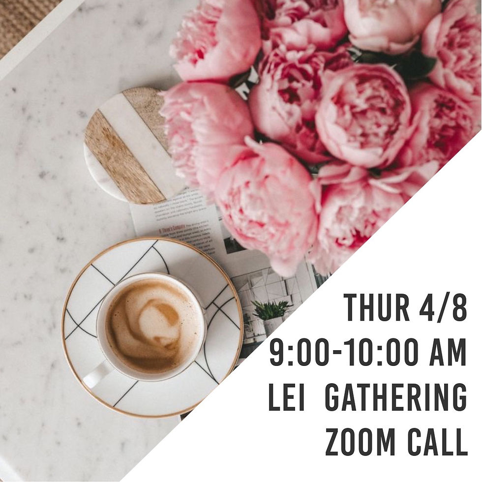 LEI Virtual Gathering 
