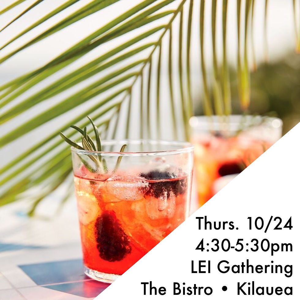 LEI Northshore Gathering