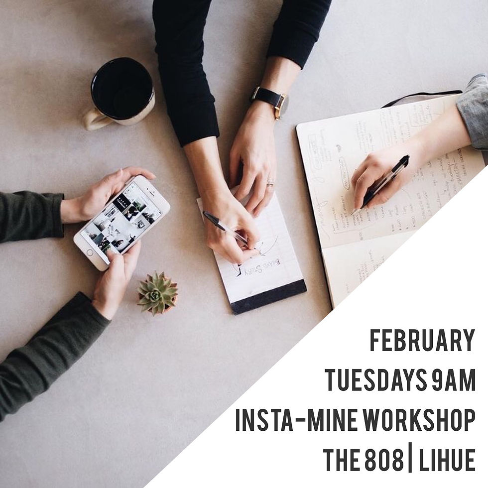 Insta-Mine Workshop Series