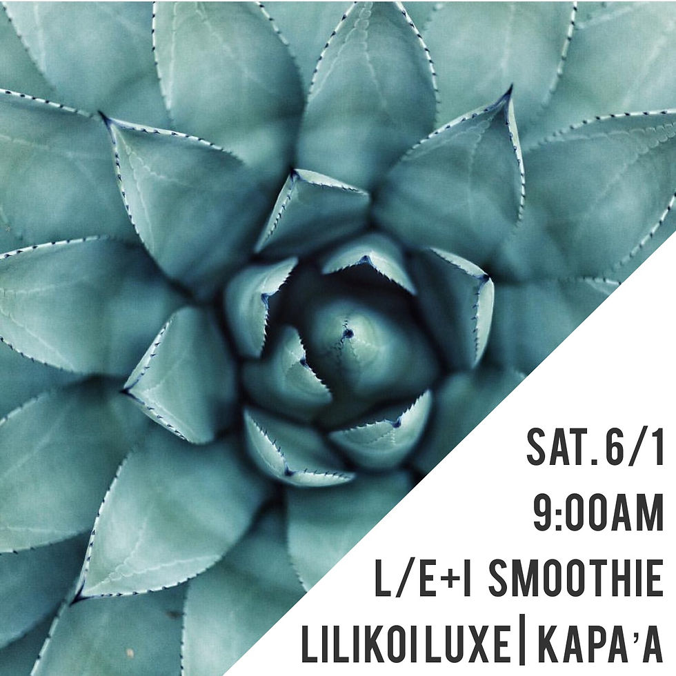 L/E+I Kapa`a Gathering 