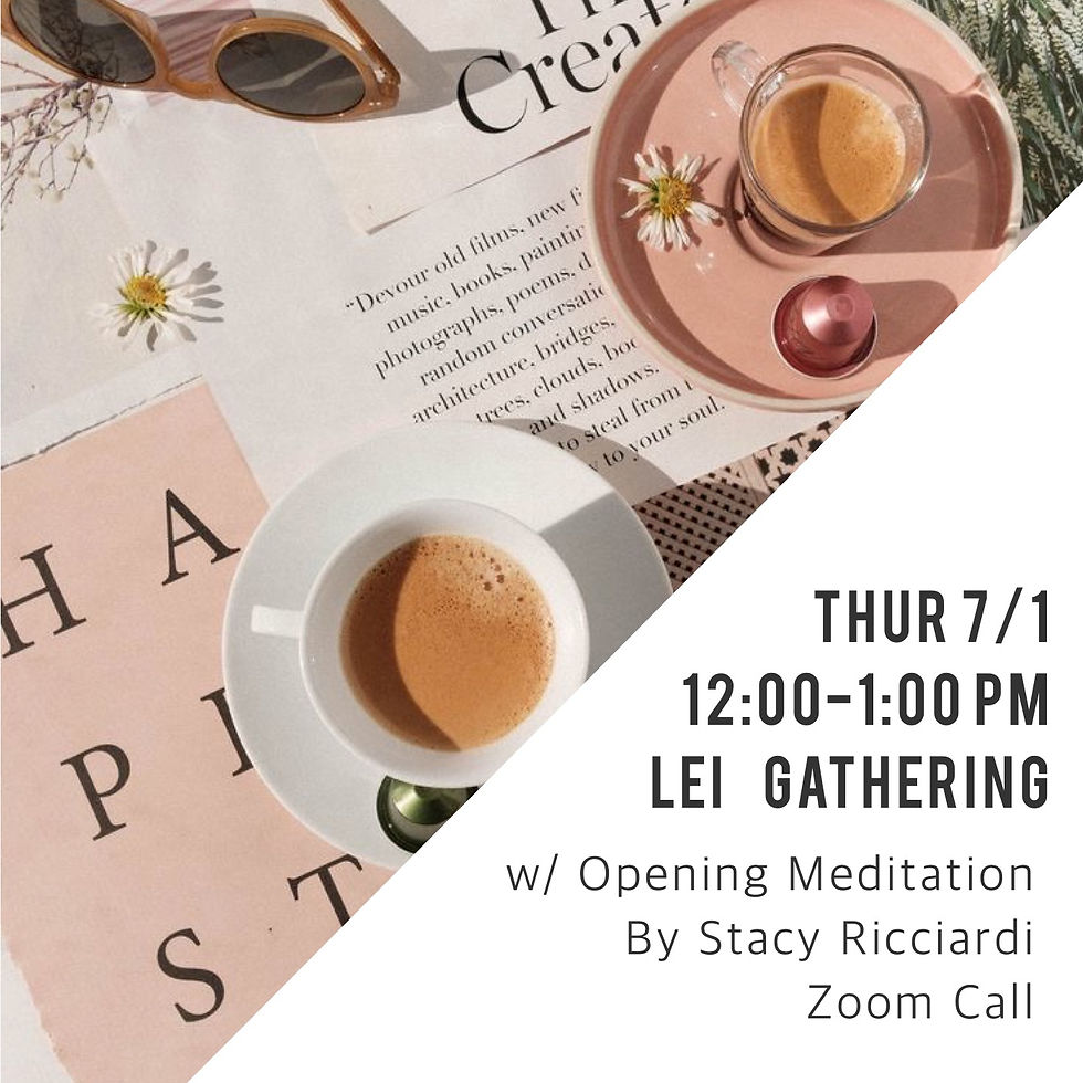 LEI Virtual Gathering