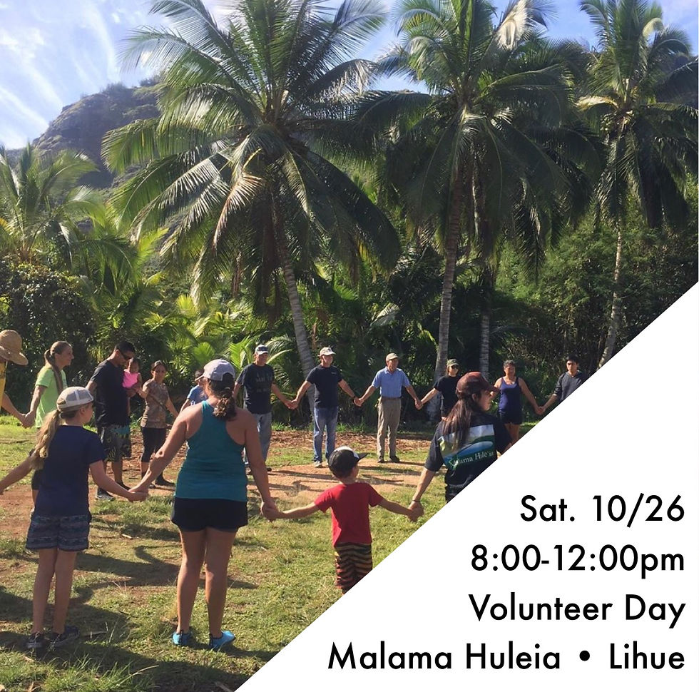 Volunteer Day