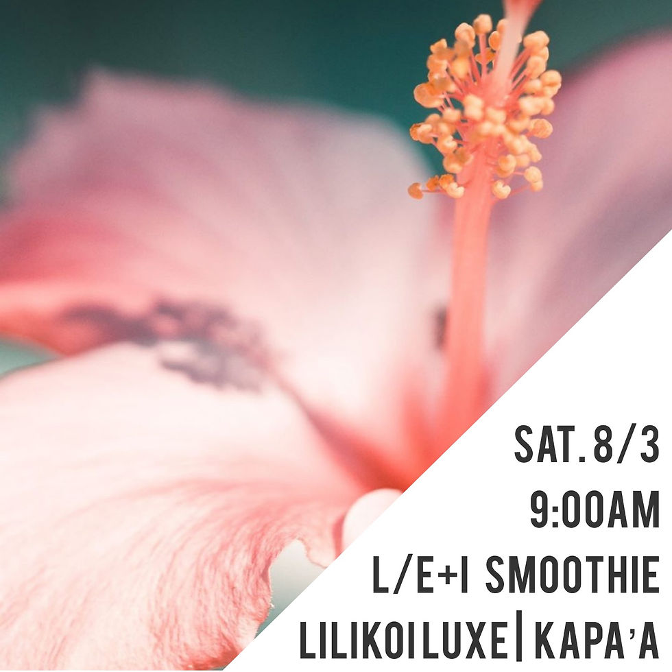 L/E+I Kapa`a Gathering 