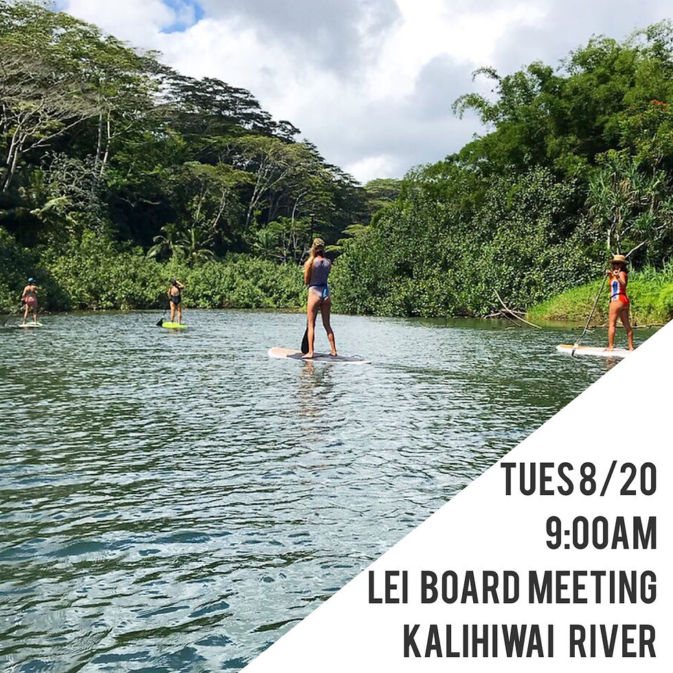 LEI Adventure | N/S SUP