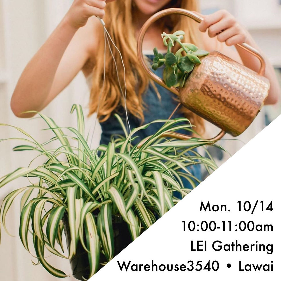 LEI Southside Gathering